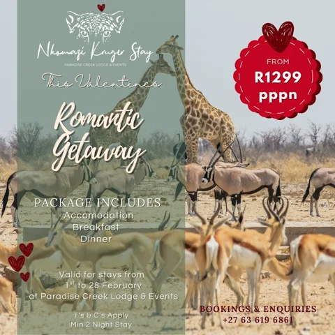 Sugar Train - Happy Hour | Nkomazi Kruger STay